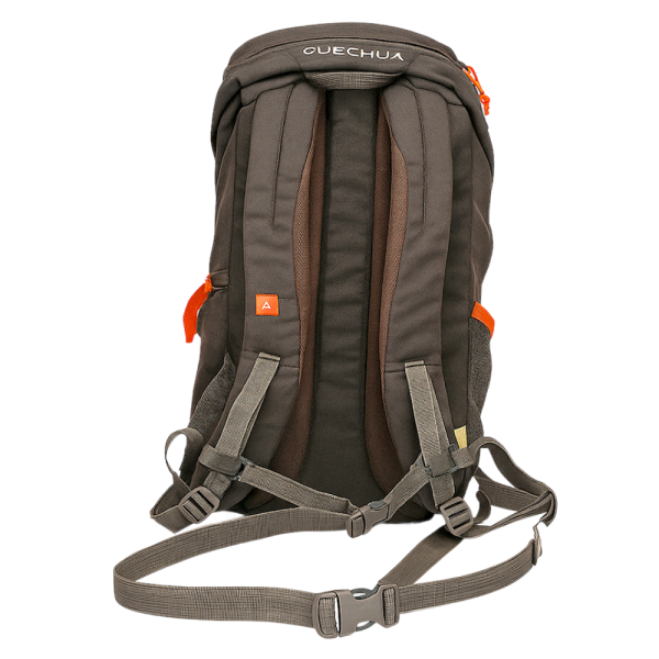 Back view of Quechua Arpenaz, best rucksack for hiking with padded straps and ergonomic design.