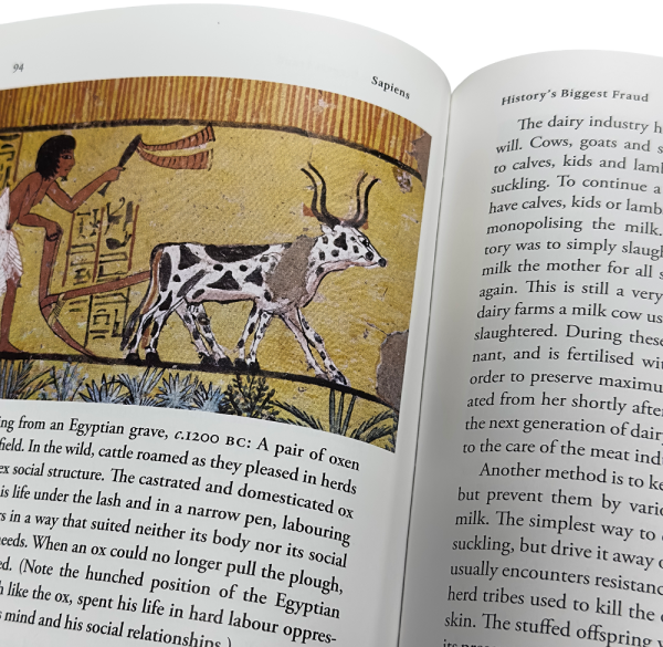 Ilustración de un libro Sapiens mostrando una escena egipcia antigua con ganado y un agricultor.